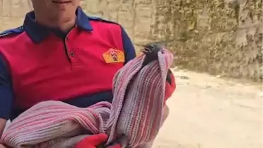 Banyoda Mahsur Kalan Karga Kurtarıldı