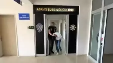 Bingöl'de Yankesiciler Yakalandı