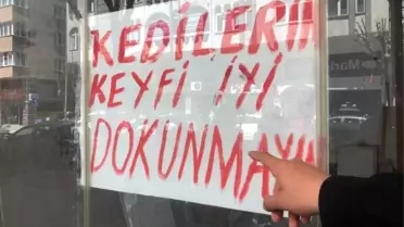 Kedili Dükkan Tartışması Eskişehir'de