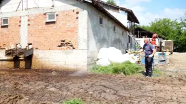 Düzce Belediyesi Yaz Aylarında Sinekle Mücadeleye Hız Verdi