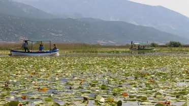 Işıklı Gölü, Tatilcilerin Yeni Gözdesi