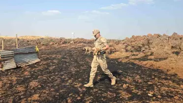Gaziantep'te Anız Yangını: Jandarma Yavru Köpekleri Kurtardı