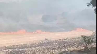 Savur'da Örtü Yangını