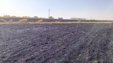 Mardin'de Yangınlar Kontrol Altına Alındı