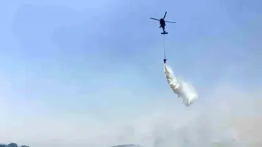 Mardin'de Orman Yangınına Hızlı Müdahale