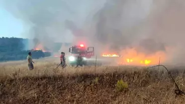 Çanakkale'de Tarım Arazisinde Yangın