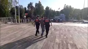 Foça'da Orman Yangını: 1 Tutuklama