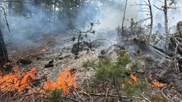 Kastamonu'da Orman Yangını Kontrol Altına Alındı