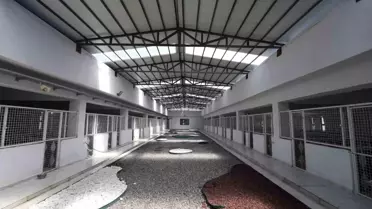 Kayseri'de Sahipsiz Hayvanlar için Yeni Projeler Hayata Geçiyor