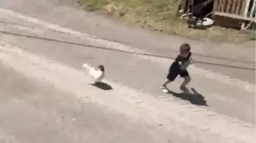 Ömer Arda ve Horozun Komik Kovalamacası
