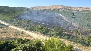 Soma'da İki Orman Yangını Kontrol Altına Alındı
