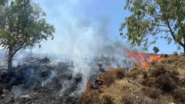 Bodrum'da Makilik Alanda Yangın