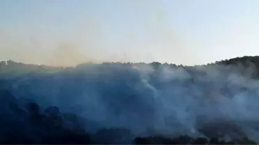 Hatay'da Orman Yangını Kontrol Altında