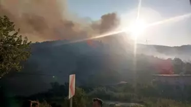 Hatay'da Orman Yangınına Müdahale Başladı