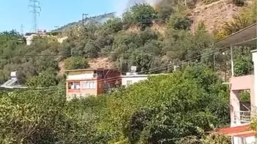 İskenderun'da Orman Yangını