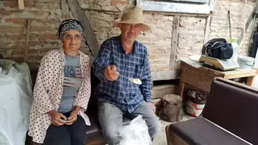 Kardeşler, Zonguldak'ta Salep Yetiştiriciliğine Başladı
