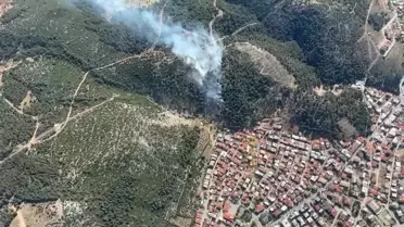 Soma'da İki Orman Yangını