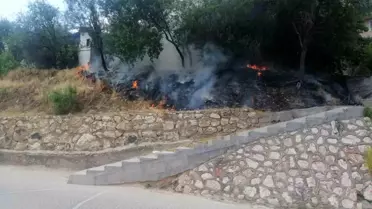 Bilecik'te Çocukların Sigara İçmesi Yangın Çıkardı