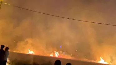Diyarbakır'da Yangın: 40 Dönüm Buğday Zarar Gördü