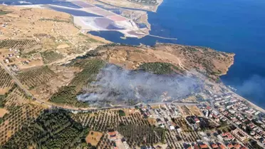 Dikili'de Orman Yangınına Müdahale Başladı