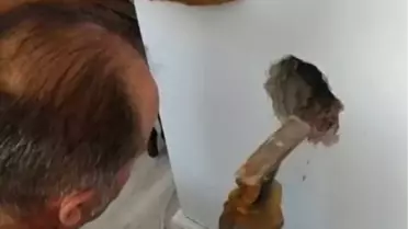 Sivas'ta Mahsur Kalan Kedi İtfaiye Ekipleri Tarafından Kurtarıldı