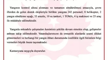 Orhaneli'nde Orman Yangınına Hızlı Müdahale