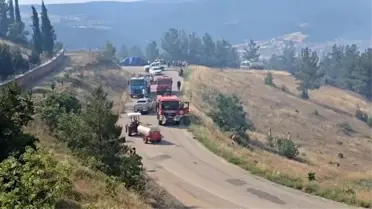 Bursa'da Yangın: Girencik Mahallesi Tahliye Ediliyor