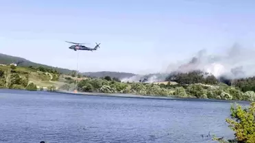 Bursa'da Orman Yangınına Hava ve Kara Müdahalesi