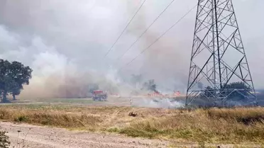 Çanakkale'de Tarım Arazisinde Yangın