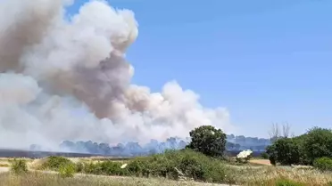 Çanakkale'de Tarım Arazisinde Yangın