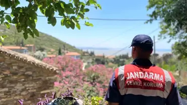 Aydın'da Orman Yangınları İçin Bilgilendirme