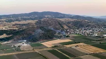 Aydın'da Fıstık Çamları Yangını Kontrol Altına Alındı