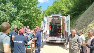 Zonguldak'ta Aile Kazası: Üç Yaralı