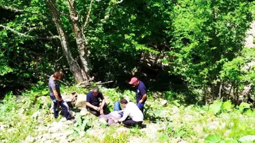 Zonguldak'ta Otomobil Şarampole Devrildi