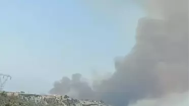 Adana'da Orman Yangını
