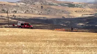 Besni'de Anız Yangını Söndürüldü
