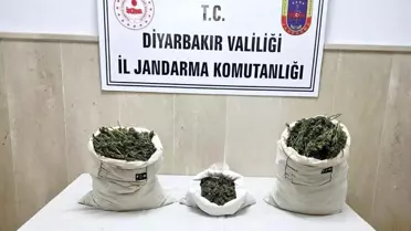 Diyarbakır'da Kenevir Operasyonu