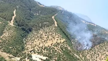 Manisa'da Orman Yangınına Müdahale Sürüyor