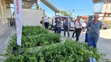 Rize'de Mavi Yemiş Fidanı Dağıtımı