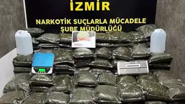 İzmir'de 126 Kg Bonzai Ele Geçirildi