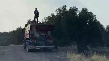 Ayvalık'ta Zeytinlik Alanında Yangın Kontrol Altına Alındı