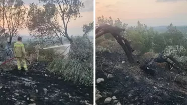 Ayvalık'tan orman yangını! 100'ün üzerinde zeytin ağacı kül oldu