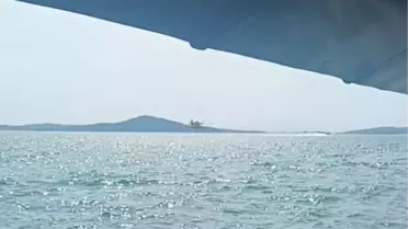 Ayvalık'ta Zeytinlikte Yangın