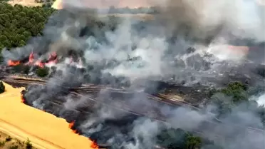 Yenişehir'de Buğday Tarlaları Alev Alev