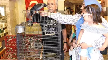 Esnafın Karga Dostluğu: Kara Şakir