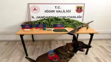 Iğdır'da Uyuşturucu Operasyonu: 1 Tutuklama