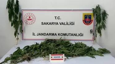 Sakarya'da Uyuşturucu Operasyonu: 3 Tutuklandı