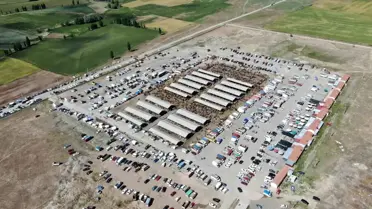 Sivas'ta Hayvan Pazarları Kapatıldı