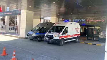 Kene Isırdığı Kadın Hastaneye Kaldırıldı