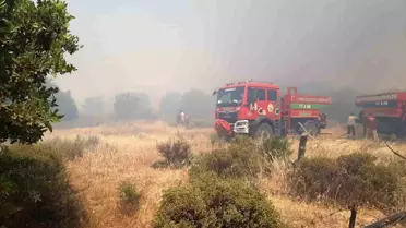 Çanakkale'de Tarım Arazisinde Yangın Çıktı
